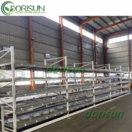 最高の苗床植栽と成長 LED グロー ライト テーブル 潮汐ローリング ベンチ システム